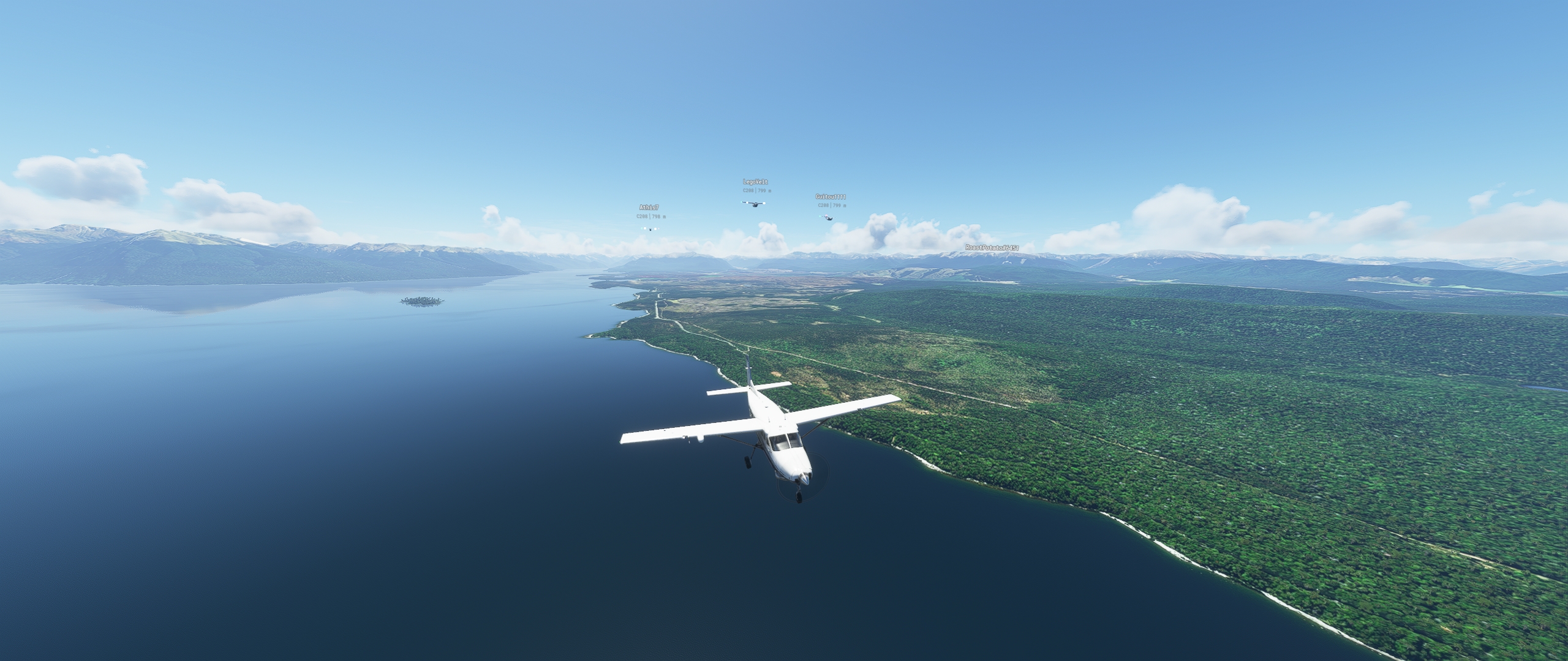 2021-01-02 17_41_02-Microsoft Flight Simulator - 1.12.13.0.jpg